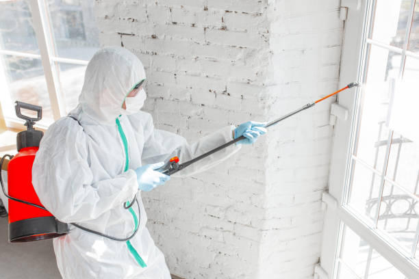 Professional Mold Removal & Remediation in Garden City Park, NY